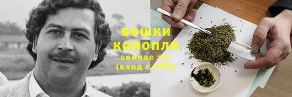 соль ск Богородицк