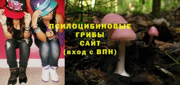соль ск Богородицк