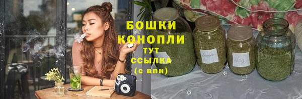 ALPHA PVP Бородино